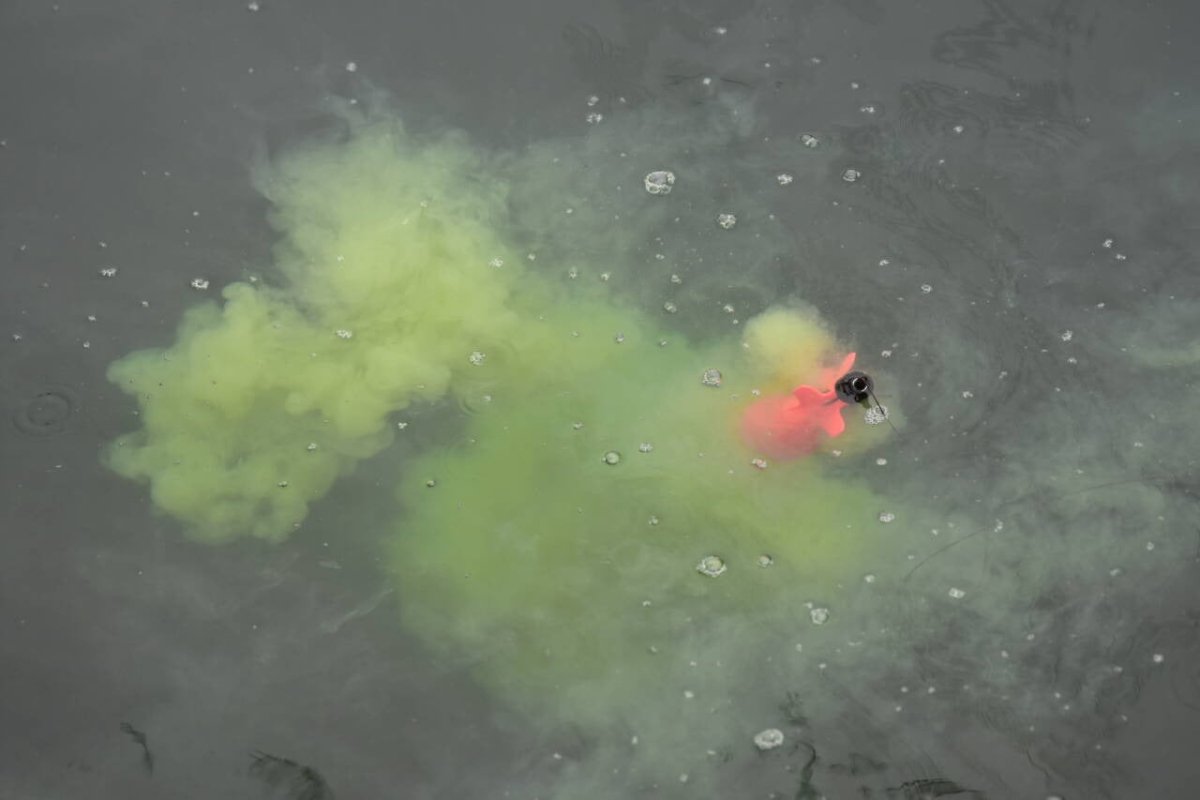 Dynamite Baits Liquid Carp Food - 1L - Sweet Tiger - KarperCentrale Dynamite Baits Liquid Carp Food - 1L - Sweet Tiger - KarperCentrale