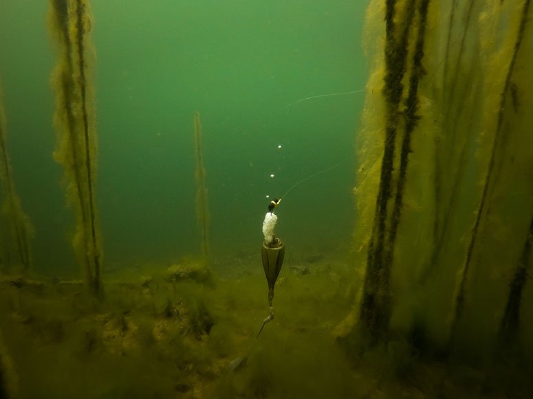 Fox Edges Zig Float Kit - dé KarperCentrale Fox Edges Zig Float Kit - dé KarperCentrale