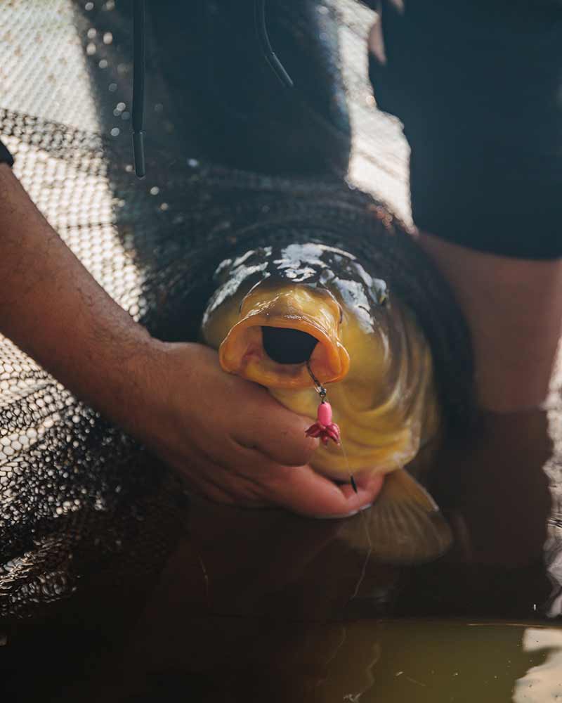 Fox Carp Ready Rigs Fluoro D - Rig - dé KarperCentrale