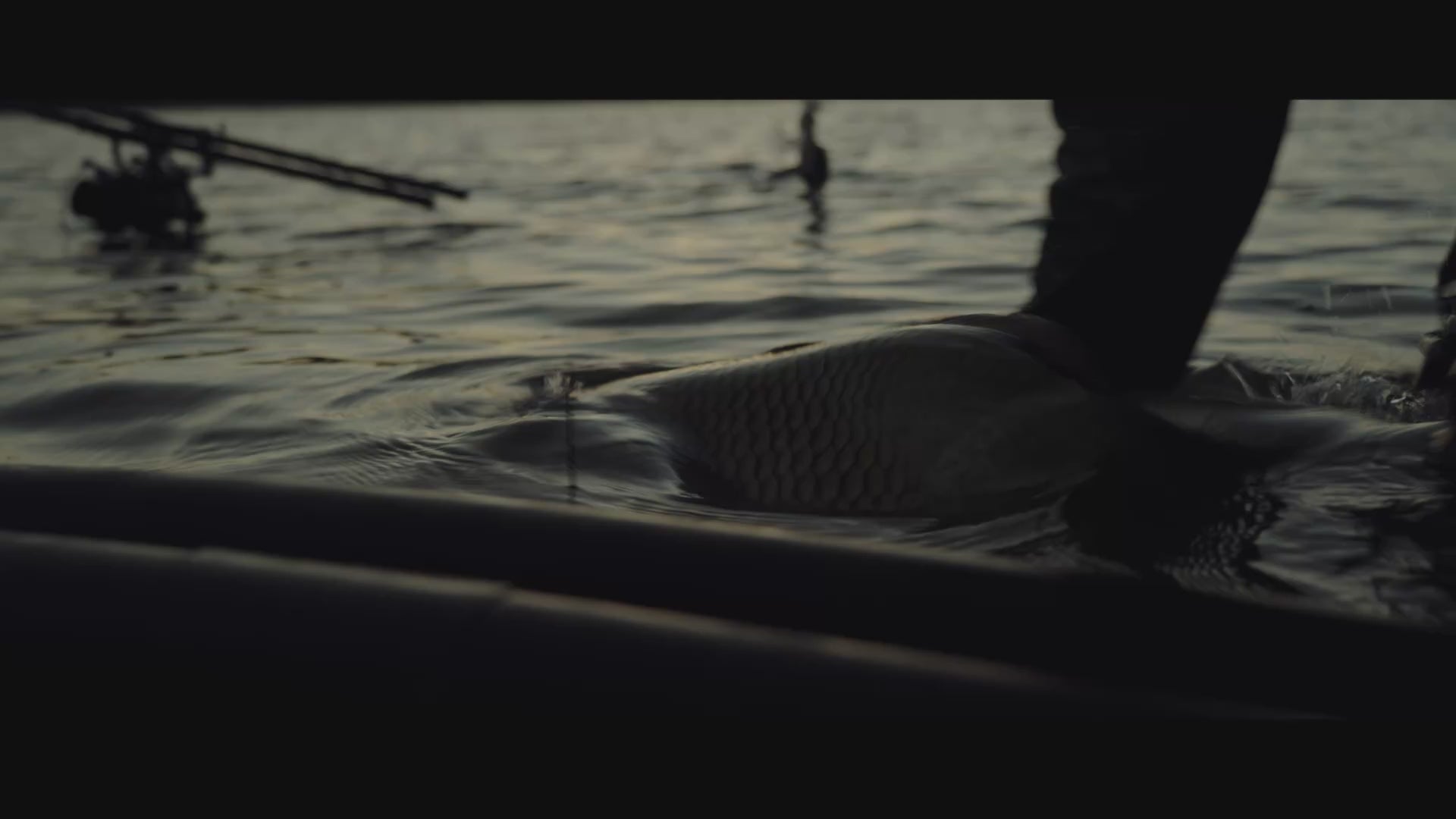 Essentials - Ago con Labbro per Stringer