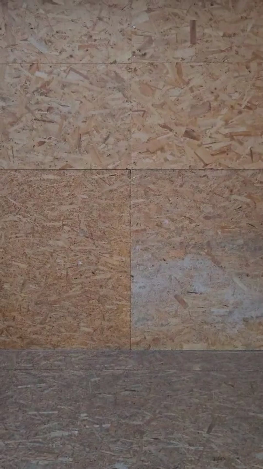 Premium HD - Design Quadrato per Carpe - Felpa con Cappuccio